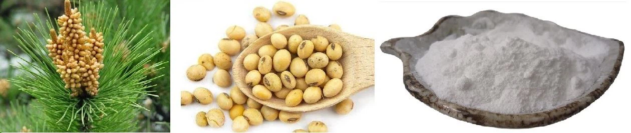 phytosterol ester micro-encapsulation powder phytosterol ester micro-encapsulation powder