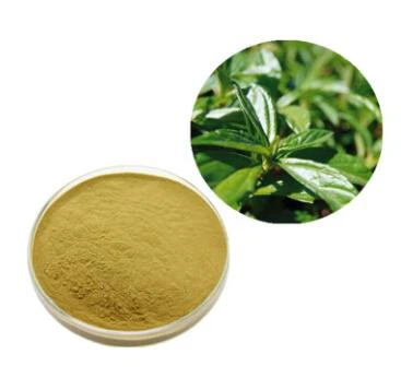 Ursolic Acid Powder2