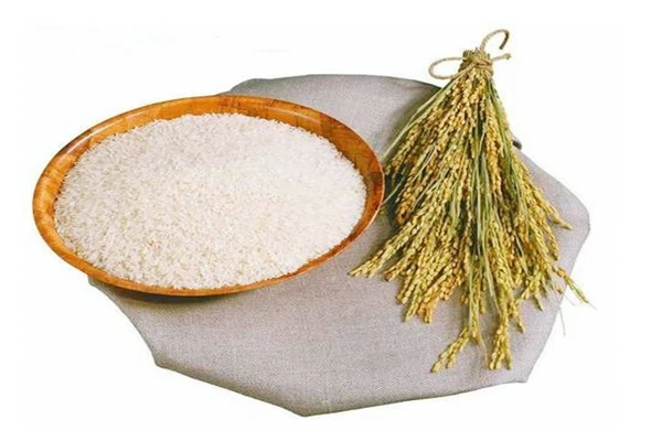 Gamma Oryzanol