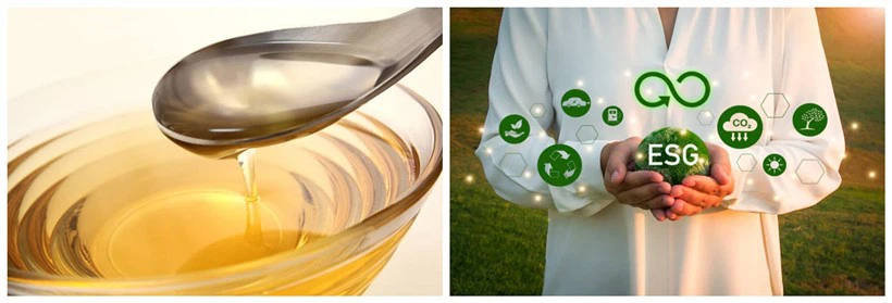 Algae-Based Omega-3 Algae-Based Omega-3